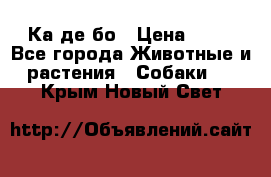 Ка де бо › Цена ­ 25 - Все города Животные и растения » Собаки   . Крым,Новый Свет